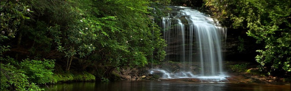 Things To Do In Brevard NC