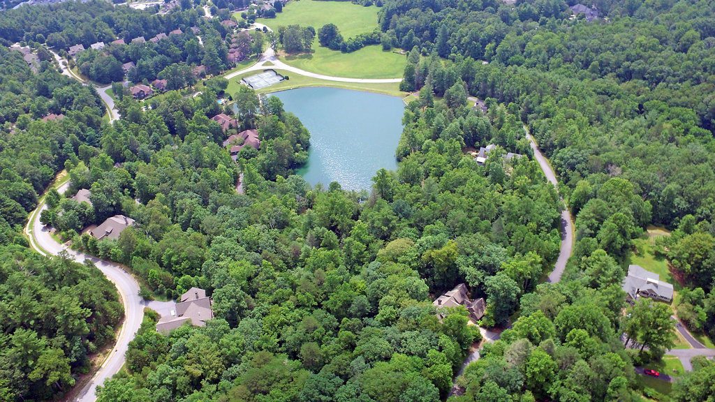 Straus Park Brevard, NC Real Estate Homes and Lots for Sale