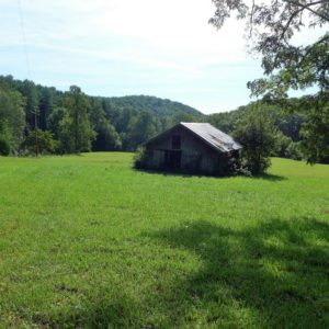 land bordering Pisgah Forest acreage tract WNC