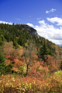 Photo of hillside in Transylvania County
