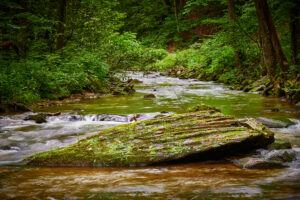 Moss Covered Rock in Mountain Stream.