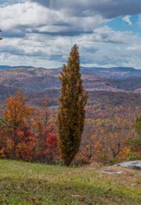 Billy Harris in Brevard NC in front of a beautiful fall view