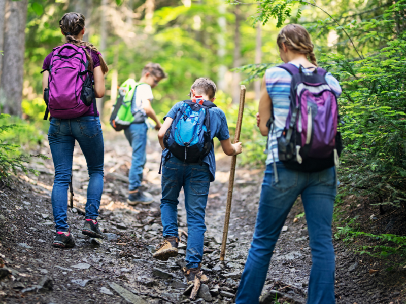 Adults and children hiking in the woods